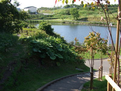 明治公園ひょうたん池
