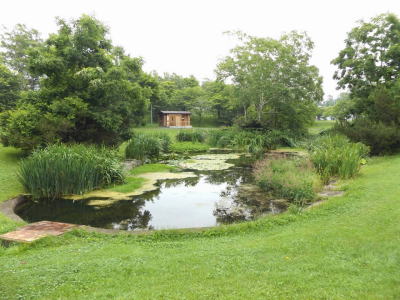 根室公園蓮池